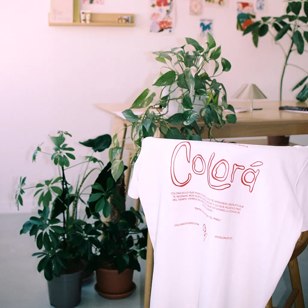 Cuándo contratar una diseñadora web